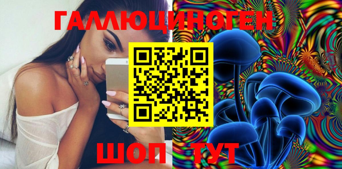 Галлюциногенные грибы Psilocybe  Вход с VPN  Казань 